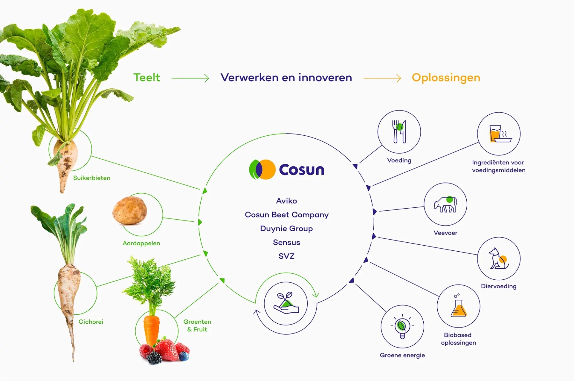 Royal Cosun: visuele identiteit en animatie door Wardtaal